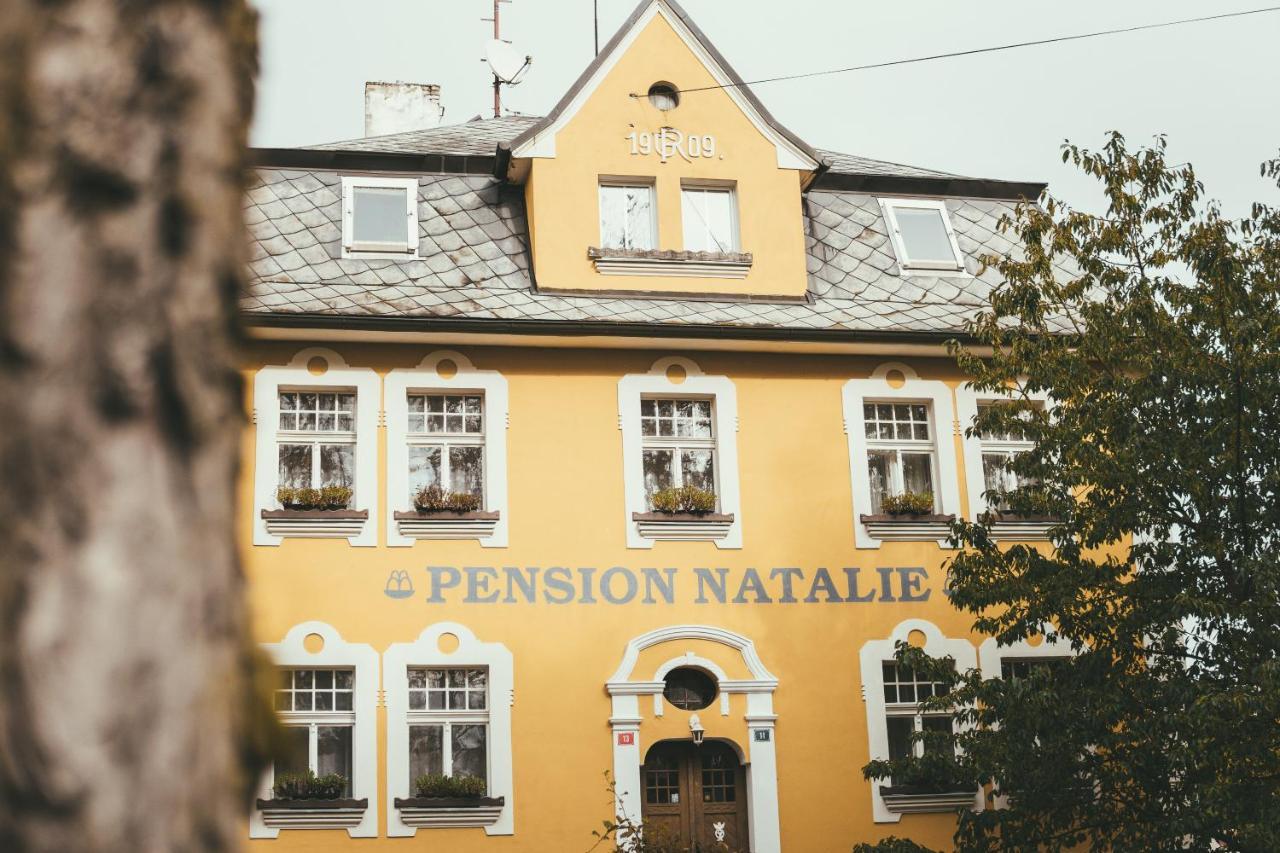Apartmany Natalie Франтишкови-Лазне Экстерьер фото